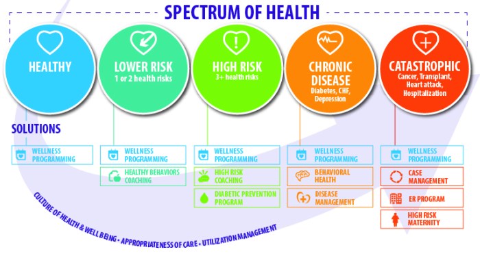 Spectrum of Health Delivers Comprehensive Insights to Health Programs ...